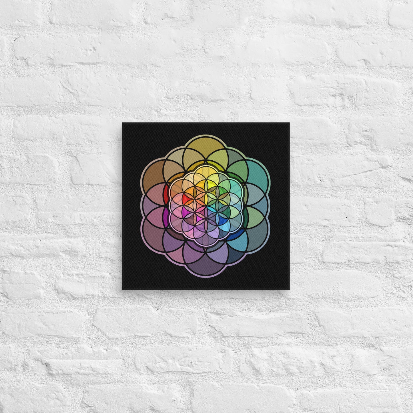 Egg of Life Canvas, 14 sizes