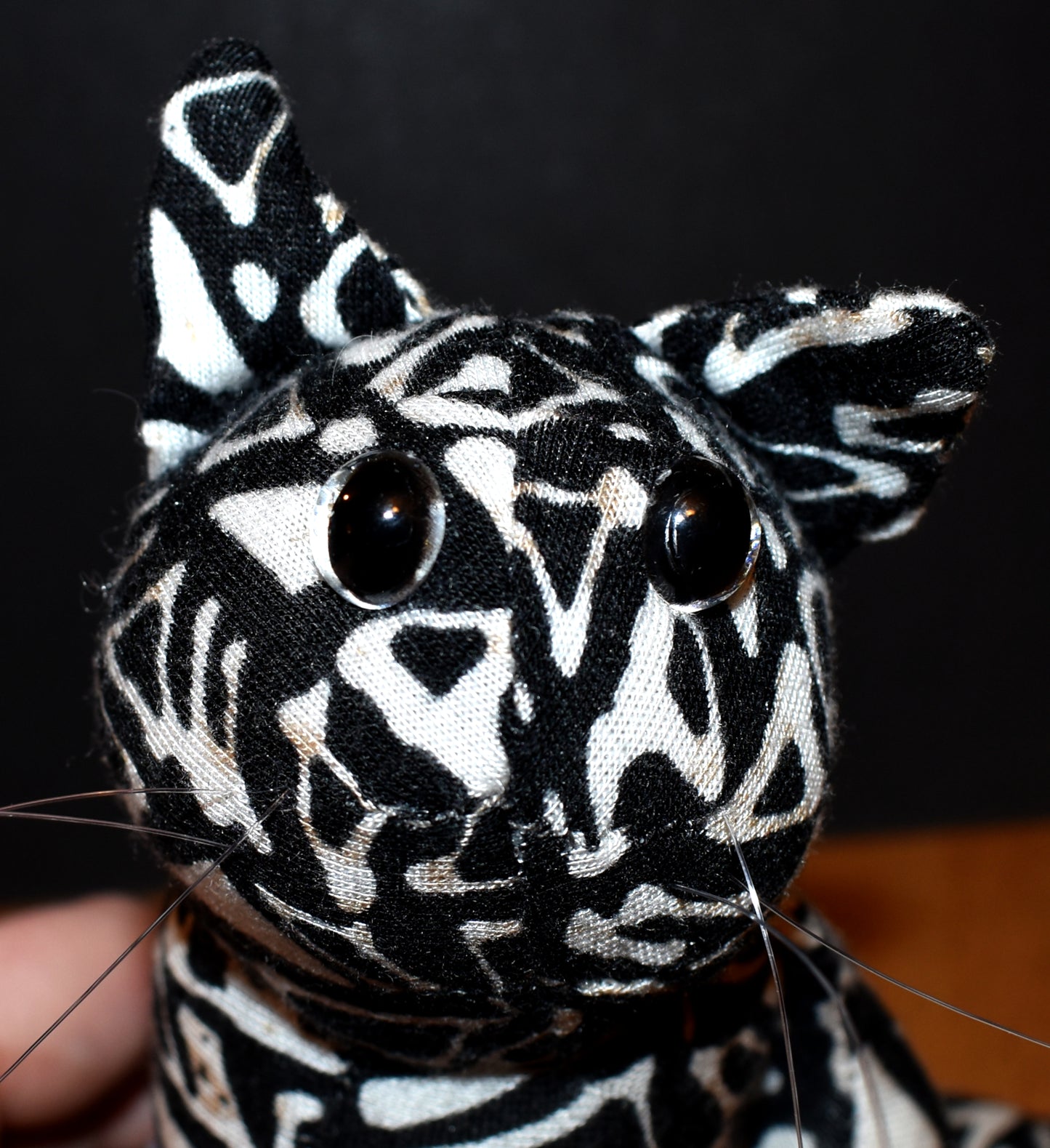 Crystal Palm Cat Descartes